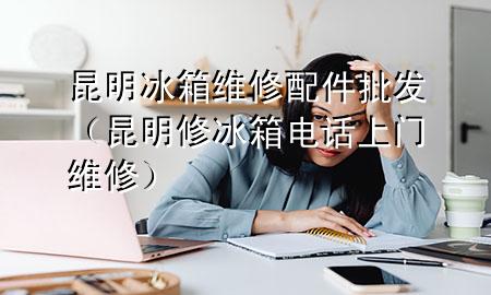 昆明冰箱维修配件批发(昆明修冰箱电话上门维修)