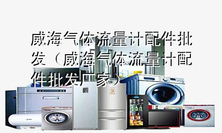 威海气体流量计配件批发(威海气体流量计配件批发厂家)