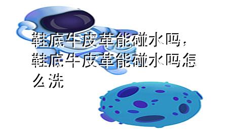 鞋底牛皮革能碰水吗,鞋底牛皮革能碰水吗怎么洗