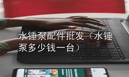 水锤泵配件批发(水锤泵多少钱一台)