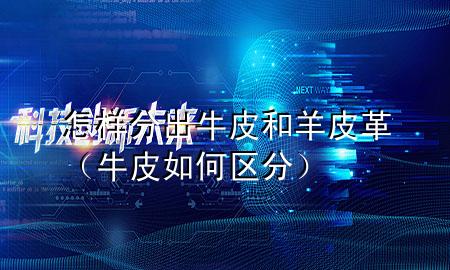 怎样分出牛皮和羊皮革(牛皮如何区分)