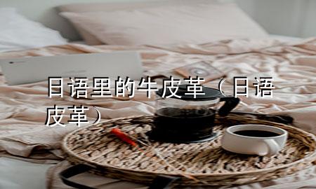 日语里的牛皮革(日语 皮革)