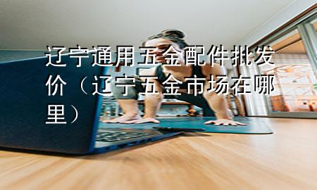 辽宁通用五金配件批发价(辽宁五金市场在哪里)