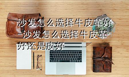 沙发怎么选择牛皮革好-沙发怎么选择牛皮革好还是皮好