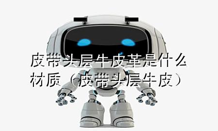 皮带头层牛皮革是什么材质(皮带 头层牛皮)