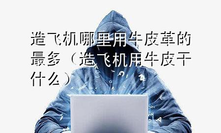 造飞机哪里用牛皮革的最多(造飞机用牛皮干什么)
