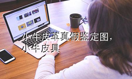 小牛皮革真假鉴定图,小牛皮具