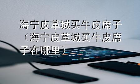 海宁皮革城买牛皮席子(海宁皮革城买牛皮席子在哪里)