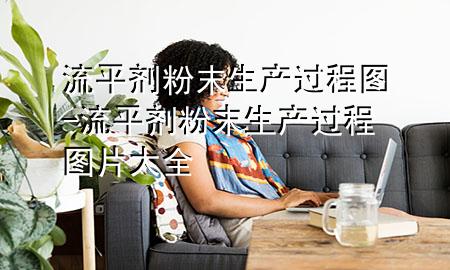 流平剂粉末生产过程图-流平剂粉末生产过程图片大全