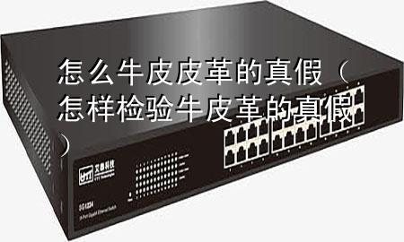 怎么牛皮皮革的真假(怎样检验牛皮革的真假)