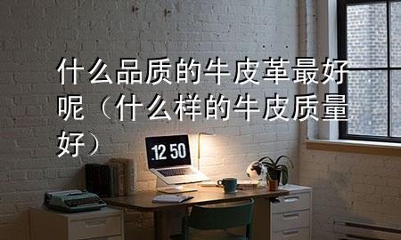 什么品质的牛皮革最好呢(什么样的牛皮质量好)