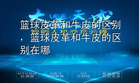 篮球皮革和牛皮的区别,篮球皮革和牛皮的区别在哪