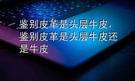 鉴别皮革是头层牛皮,鉴别皮革是头层牛皮还是牛皮