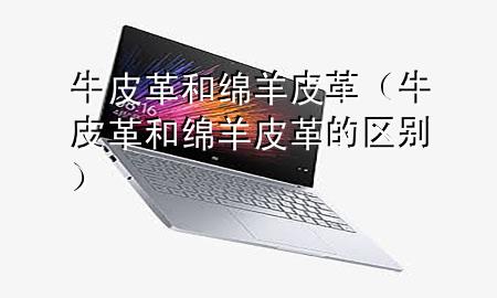 牛皮革和绵羊皮革(牛皮革和绵羊皮革的区别)