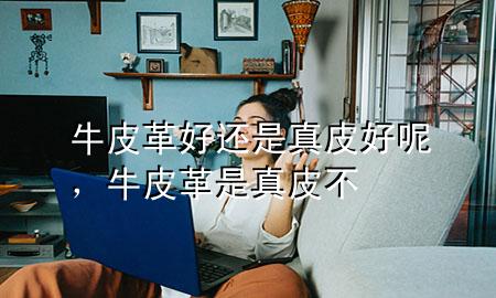 牛皮革好还是真皮好呢,牛皮革是真皮不