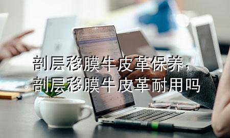 剖层移膜牛皮革保养,剖层移膜牛皮革耐用吗