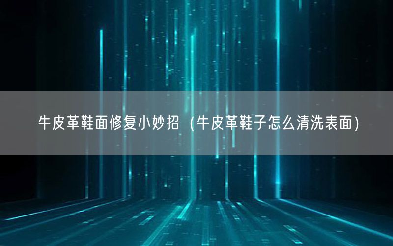 牛皮革鞋面修复小妙招（牛皮革鞋子怎么清洗表面）