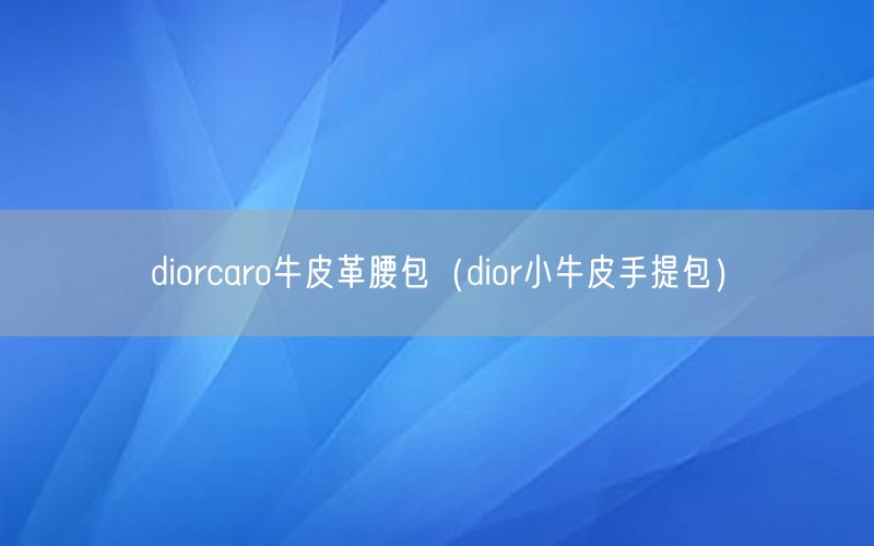 diorcaro牛皮革腰包（dior小牛皮手提包）