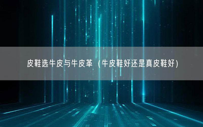 皮鞋选牛皮与牛皮革（牛皮鞋好还是真皮鞋好）