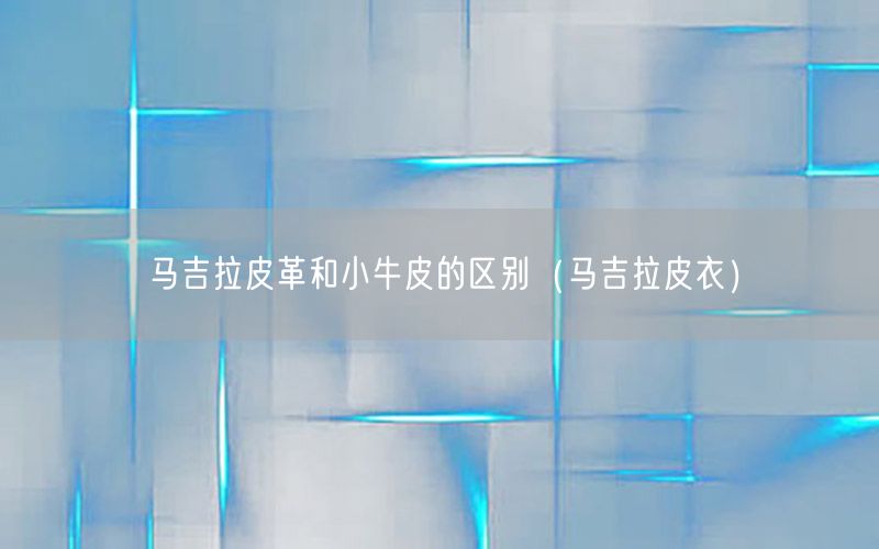 马吉拉皮革和小牛皮的区别（马吉拉皮衣）