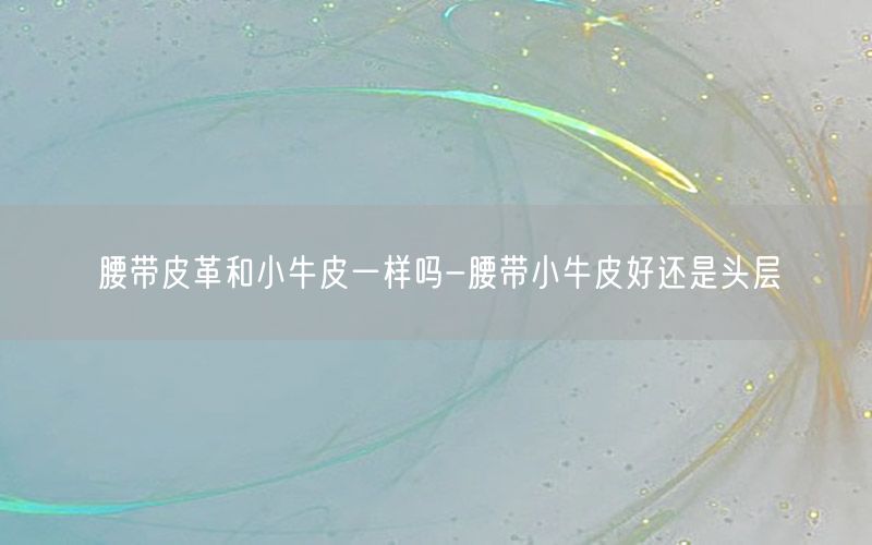 腰带皮革和小牛皮一样吗-腰带小牛皮好还是头层
