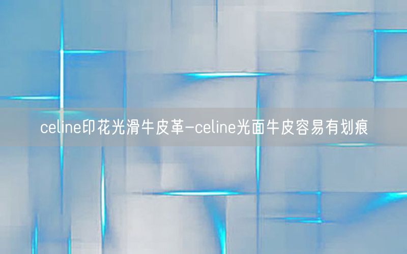 celine印花光滑牛皮革-celine光面牛皮容易有划痕