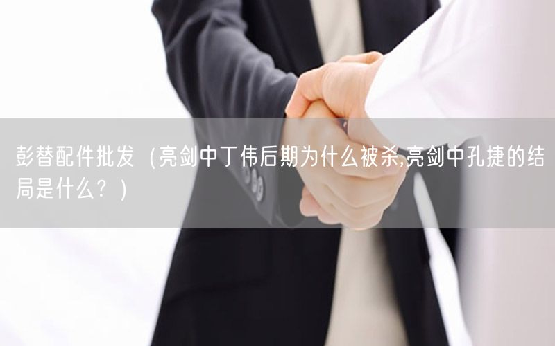 彭替配件批发（亮剑中丁伟后期为什么被杀,亮剑中孔捷的结局是什么？）
