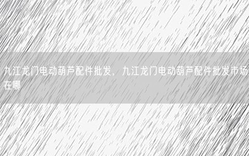 九江龙门电动葫芦配件批发，九江龙门电动葫芦配件批发市场在哪
