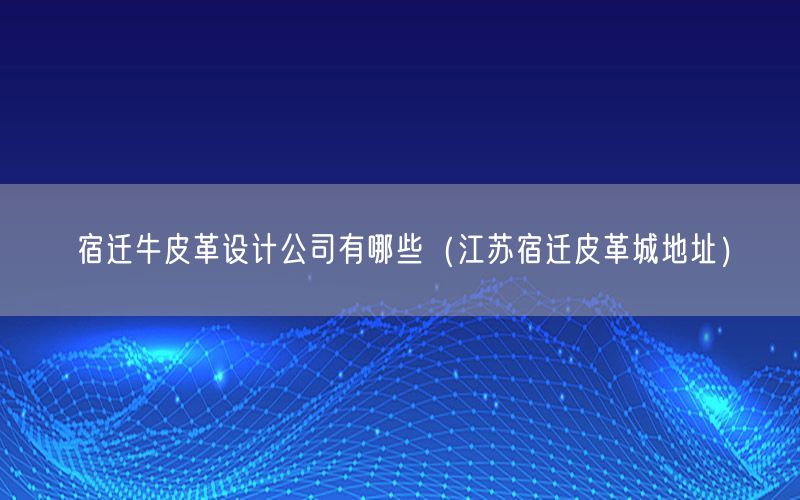 宿迁牛皮革设计公司有哪些（江苏宿迁皮革城地址）