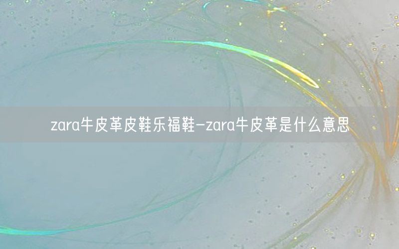 zara牛皮革皮鞋乐福鞋-zara牛皮革是什么意思