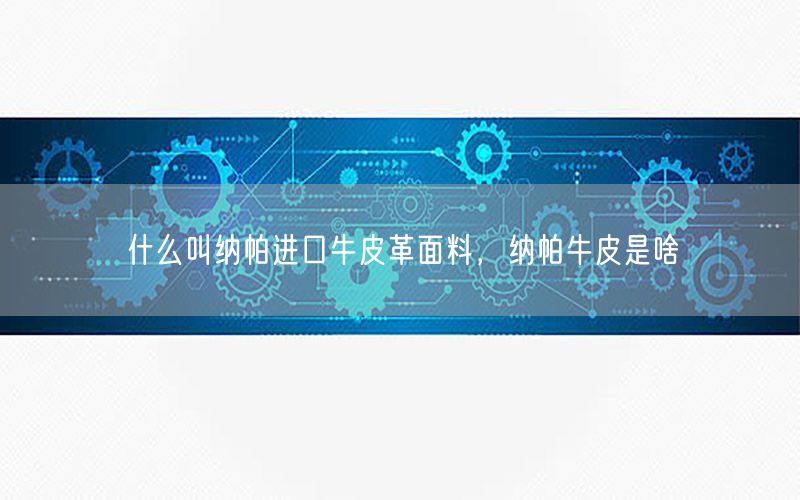 什么叫纳帕进口牛皮革面料，纳帕牛皮是啥