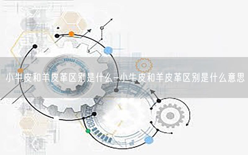 小牛皮和羊皮革区别是什么-小牛皮和羊皮革区别是什么意思