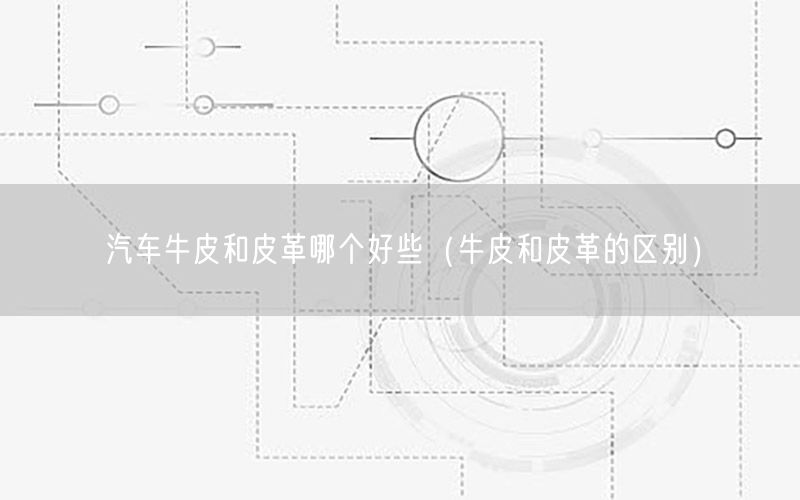 汽车牛皮和皮革哪个好些（牛皮和皮革的区别）