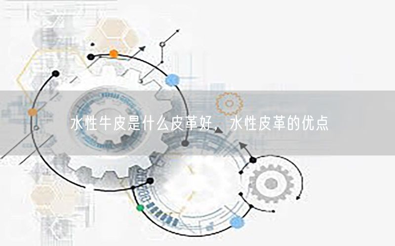 水性牛皮是什么皮革好，水性皮革的优点