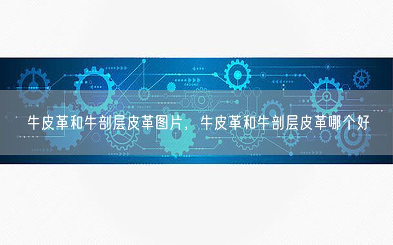牛皮革和牛剖层皮革图片，牛皮革和牛剖层皮革哪个好