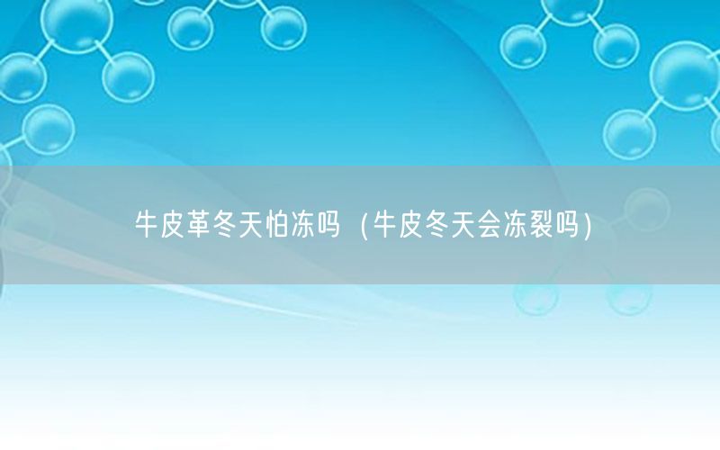 牛皮革冬天怕冻吗（牛皮冬天会冻裂吗）