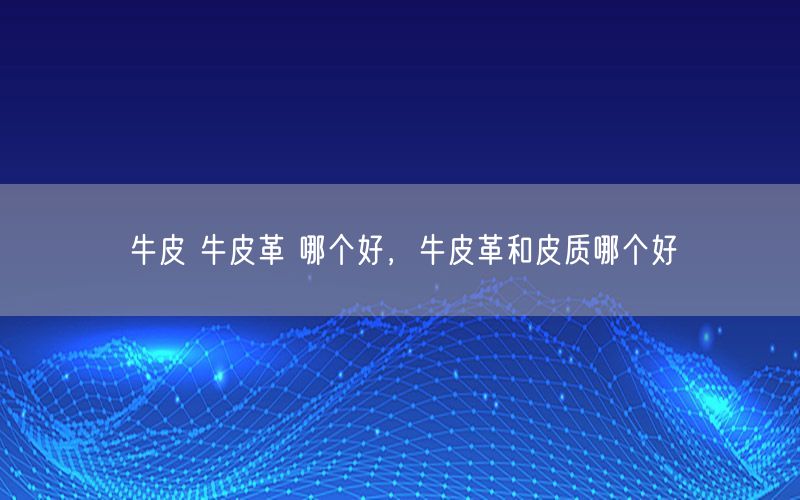 牛皮 牛皮革 哪个好，牛皮革和皮质哪个好