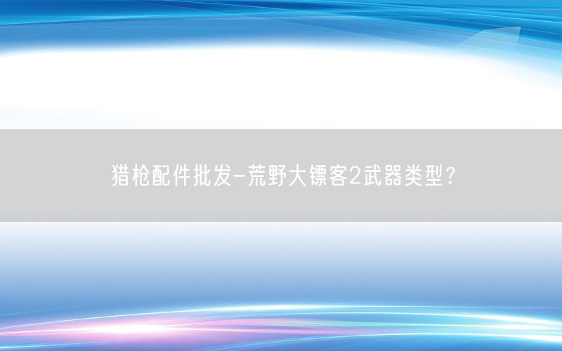 猎枪配件批发-荒野大镖客2武器类型？