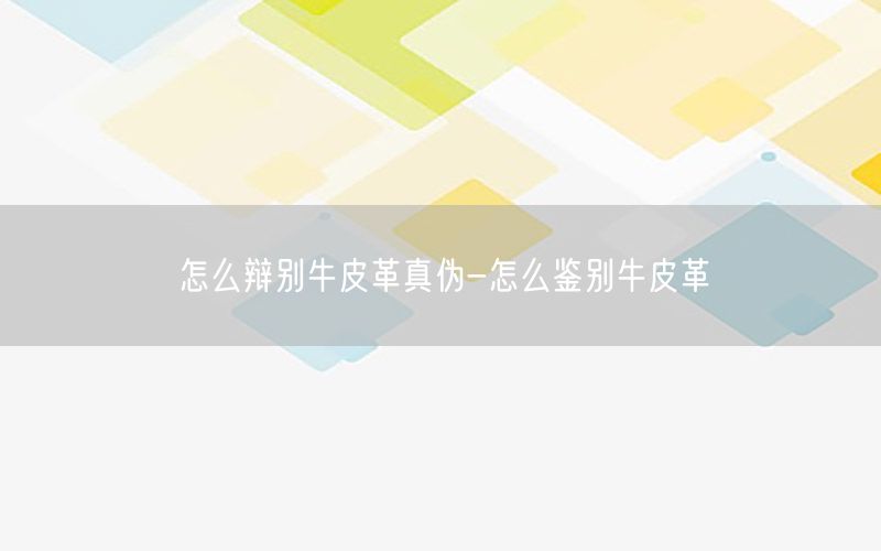 怎么辩别牛皮革真伪-怎么鉴别牛皮革