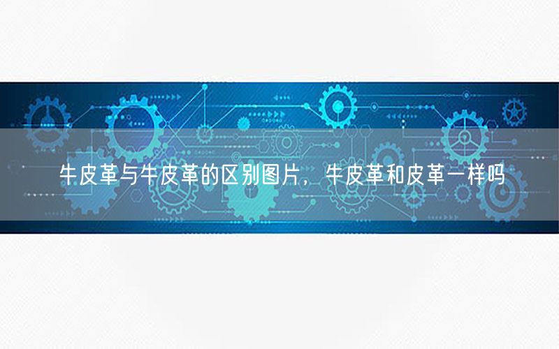 牛皮革与牛皮革的区别图片，牛皮革和皮革一样吗