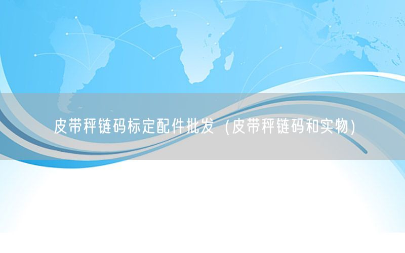 皮带秤链码标定配件批发（皮带秤链码和实物）