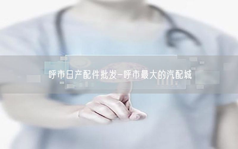 呼市日产配件批发-呼市最大的汽配城