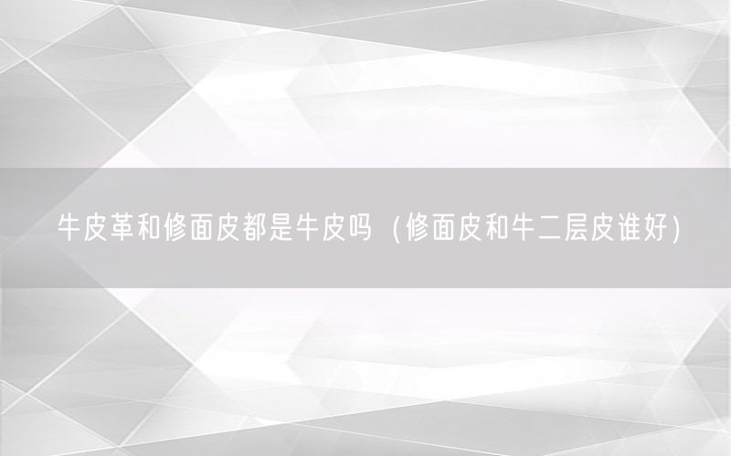牛皮革和修面皮都是牛皮吗（修面皮和牛二层皮谁好）