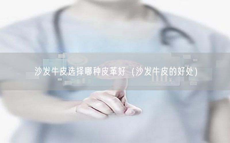 沙发牛皮选择哪种皮革好（沙发牛皮的好处）