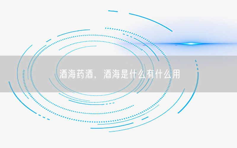 酒海药酒，酒海是什么有什么用