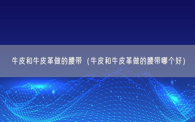 牛皮和牛皮革做的腰带（牛皮和牛皮革做的腰带哪个好）